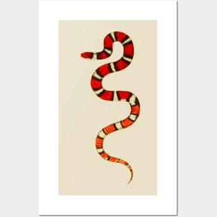 serpent,cobra,reptile,viper,venom,lizard,rattlesnake,king cobra Posters and Art